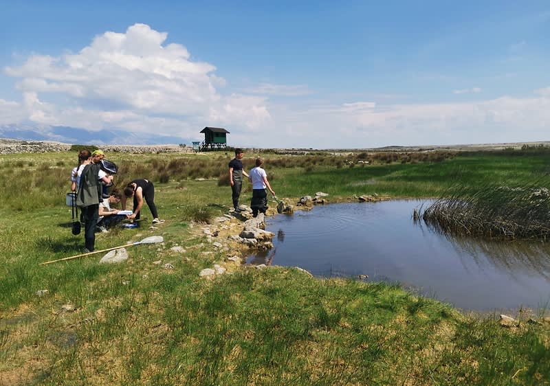 Natječaj dm-a {ZAJEDNO} za zelene ideje