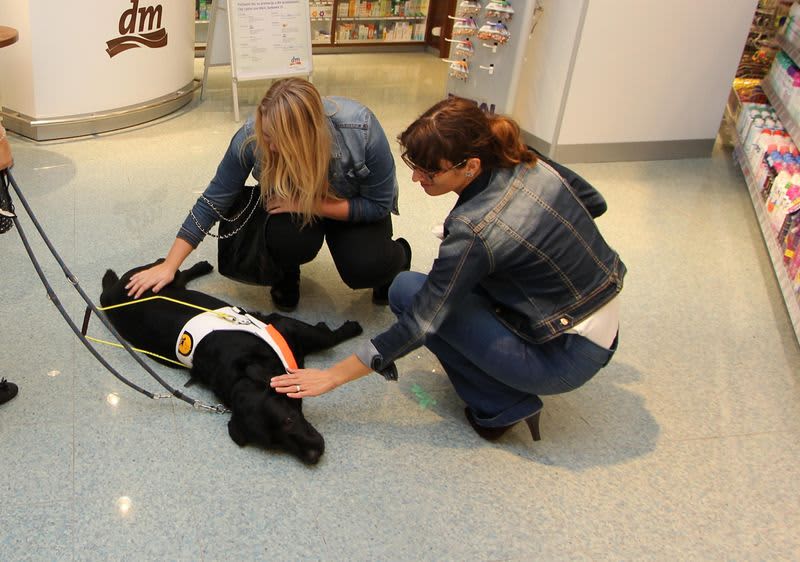 pas vodič u dm prodavaonici i kupci koji ga maze