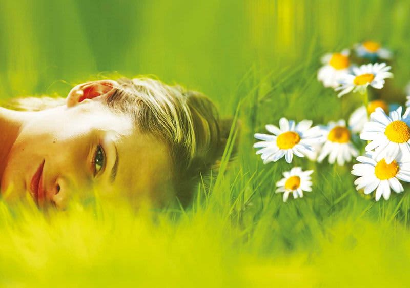 tratinčice na livadi