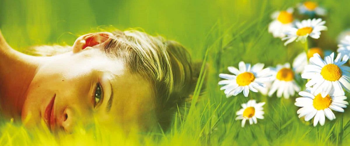 tratinčice na livadi