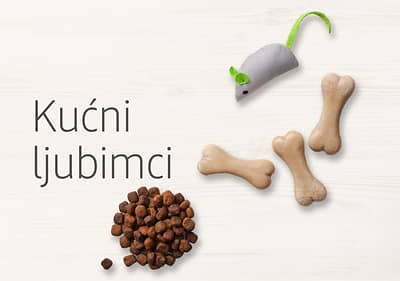 Kućni ljubimci