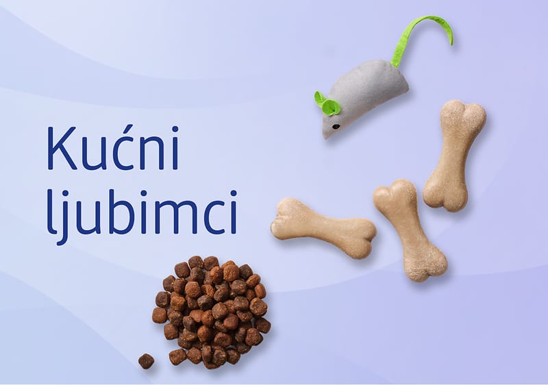 Kućni ljubimci