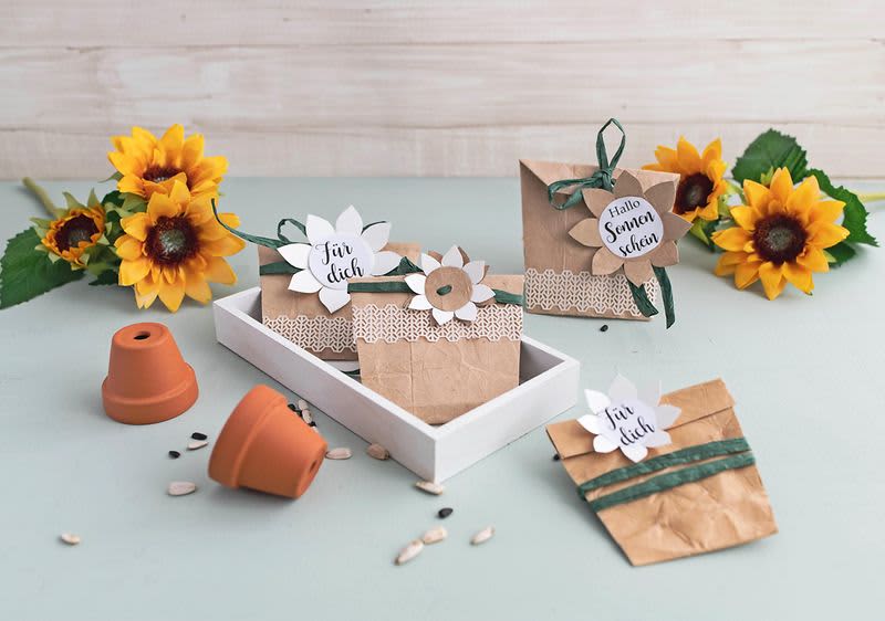 DIY poklon vrećice za sjeme