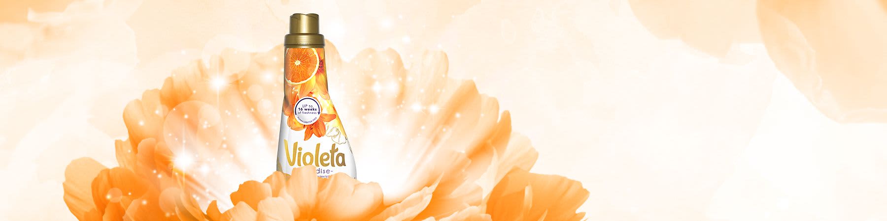 Violeta omekšivači