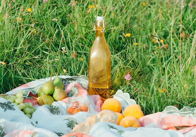 Piknik – popularan kao nikad prije!