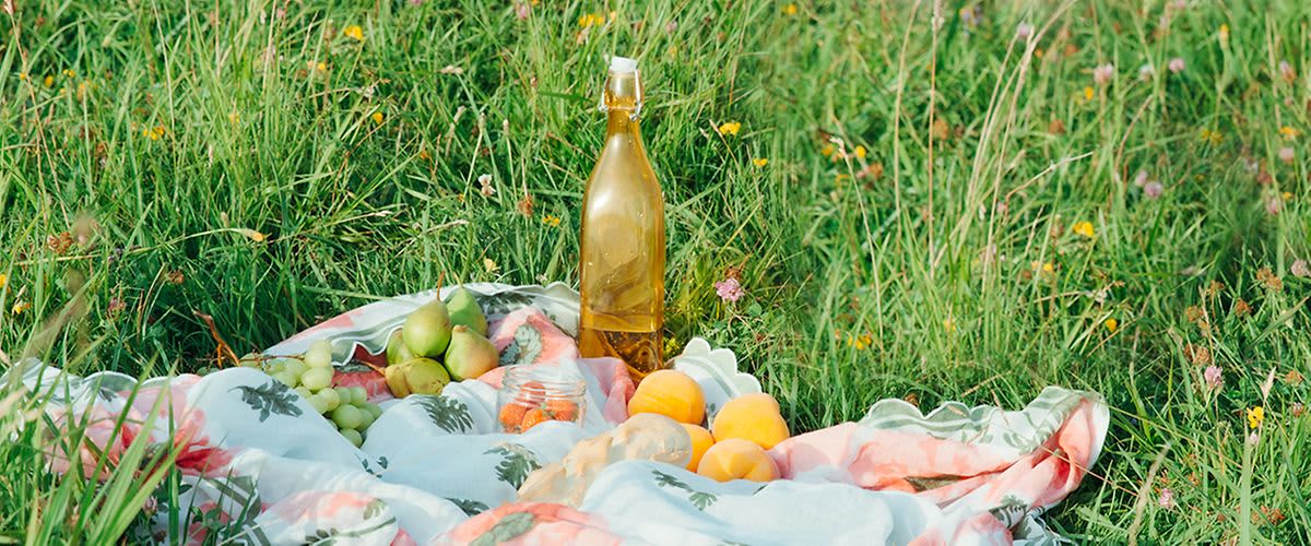 Piknik – popularan kao nikad prije!