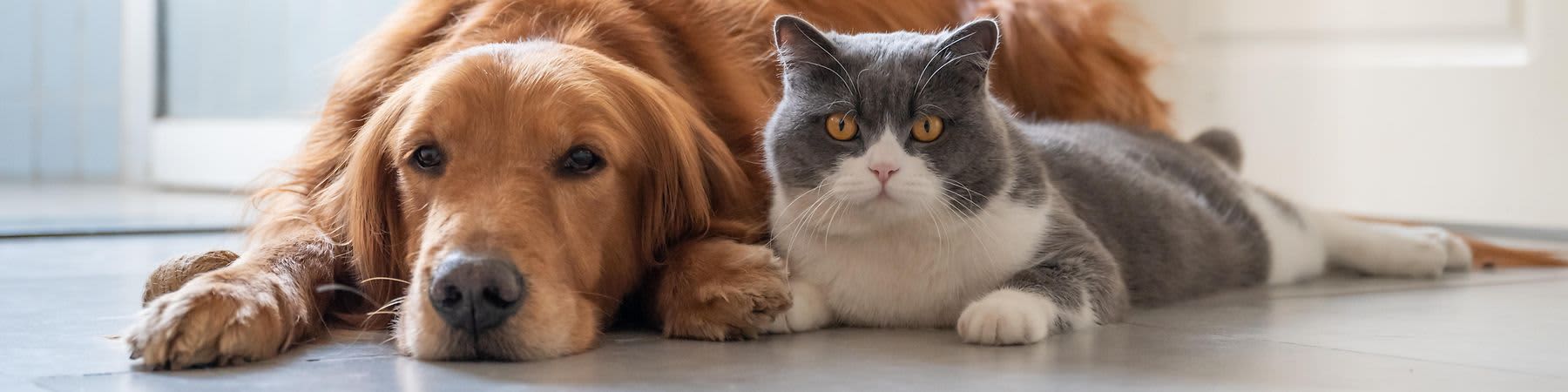 Dein Bestes hrana za kućne ljubimce