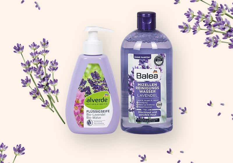 LAVANDA (Lavendula angustifolia)