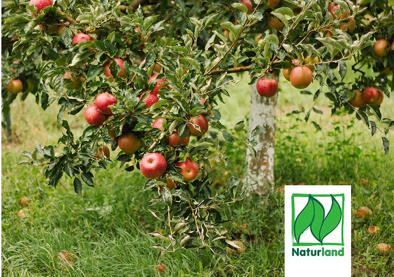 Naturland proizvodi u dm-u