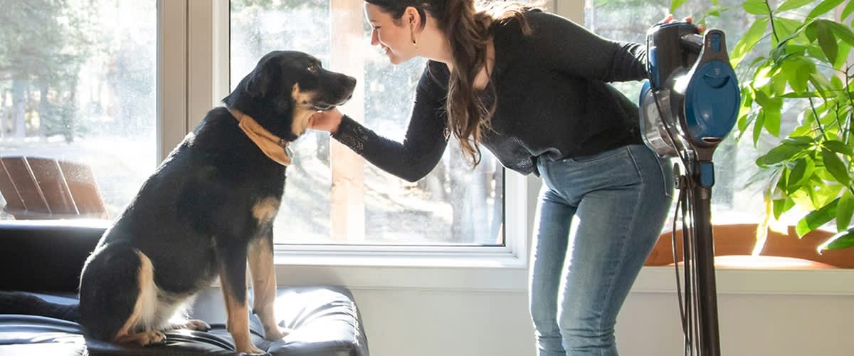 Čisti dom uz kućnog ljubimca