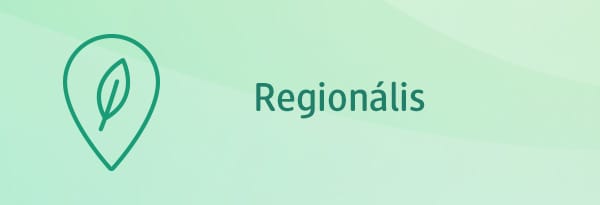 regionális