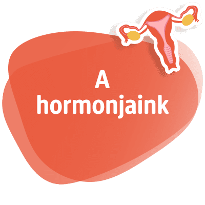 Unsere Hormone