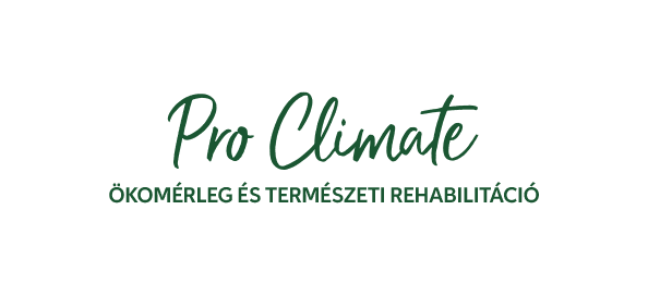 Produktentwicklung