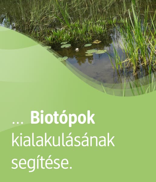 Sie können unterstützen, Biotope entstehen zu lassen. 