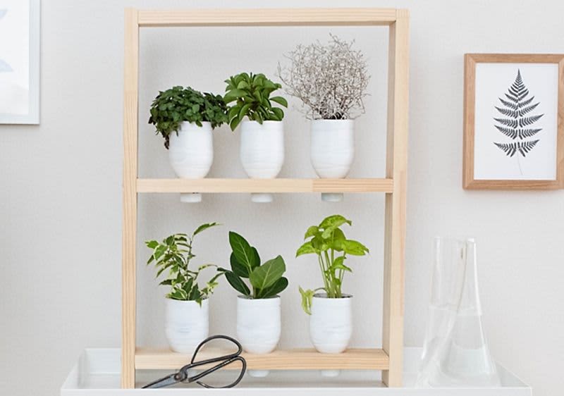 DIY növénytartó állvány