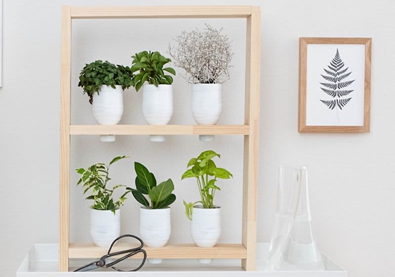 DIY növénytartó állvány