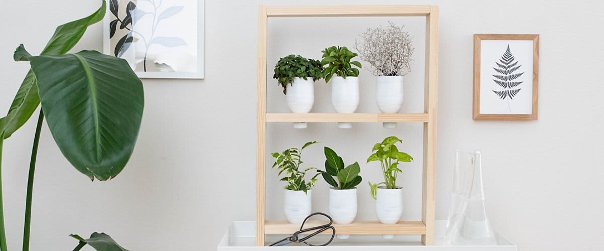 DIY növénytartó állvány