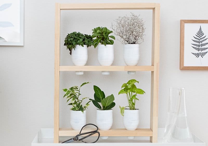 DIY növénytartó állvány