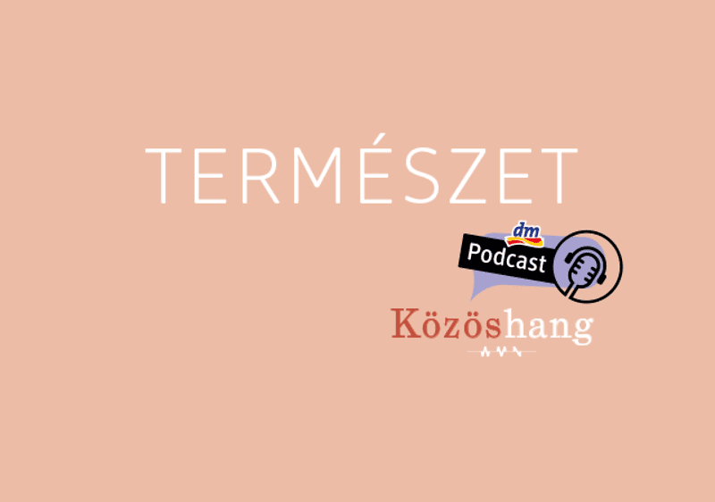 muveszet-cikk-3