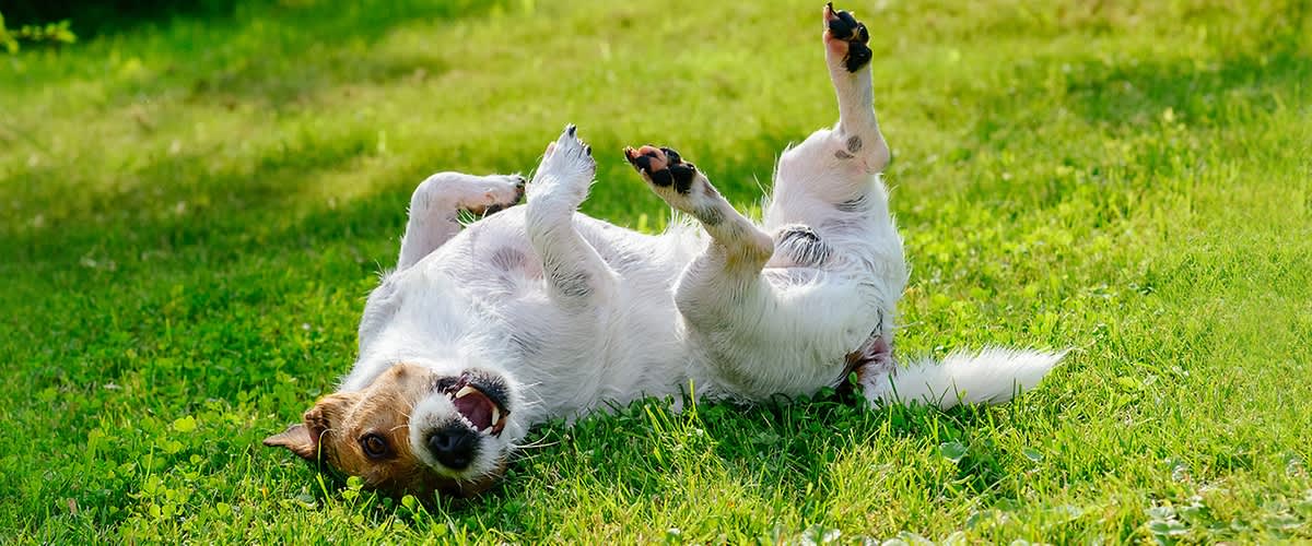 Balkon wird gereinigt