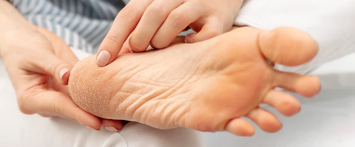 Házi készítésű jutalomfalat kutyák számára 