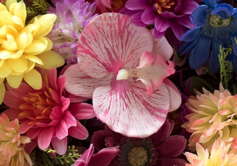 Születésnapi virágok