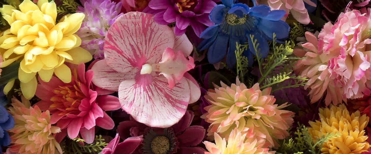 Születésnapi virágok