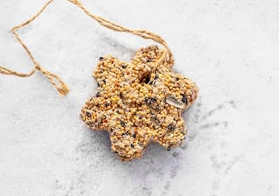 madáreleség házilag 