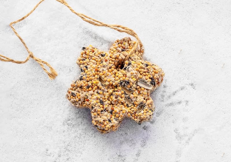 madáreleség házilag 