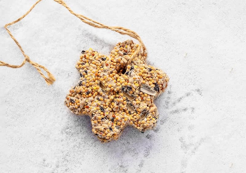 madáreleség házilag