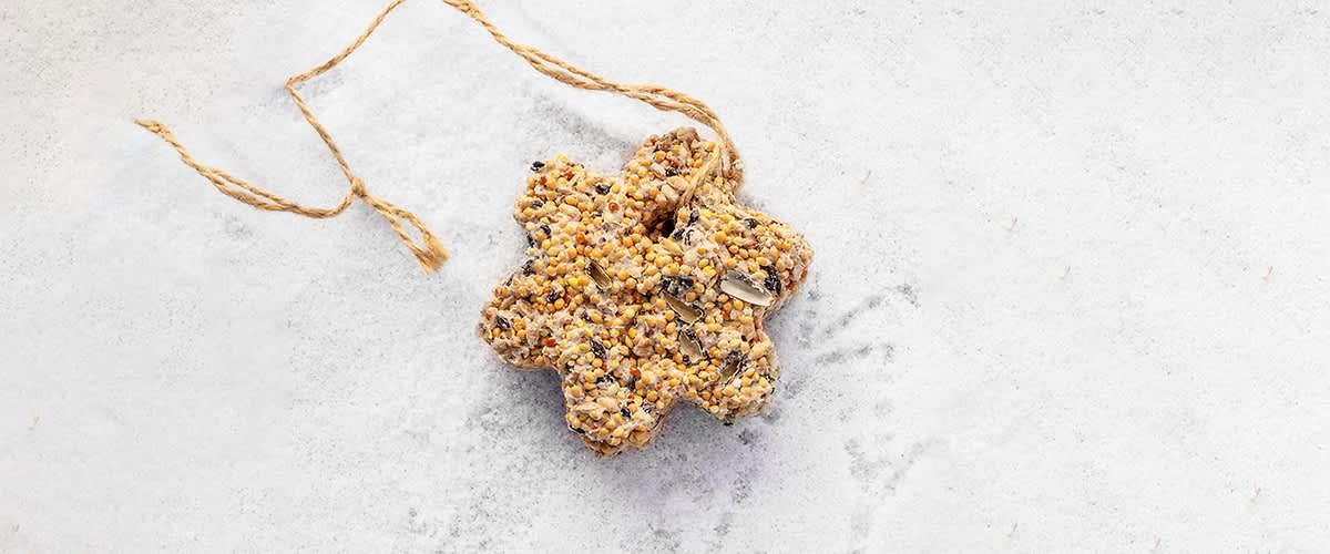 madáreleség házilag 