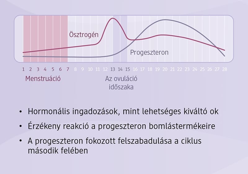 Zyklusbasiertes Training: Follikelphase