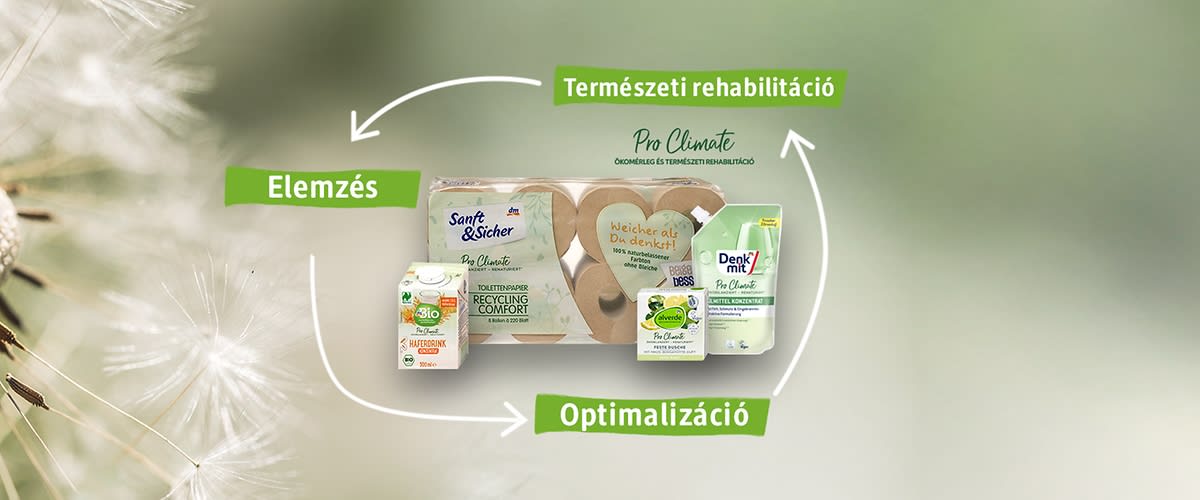 Pro Climate Produkte vor Seerosen