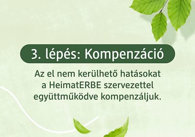 Schritt 3 Kompensation