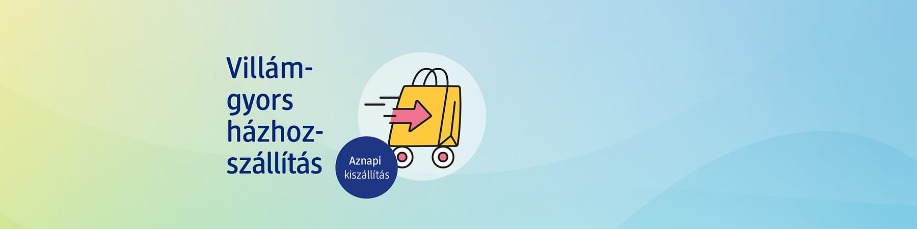 Express-Lieferung Fahrrad – Bis 17 Uhr bestellt, bis 21 Uhr geliefert.