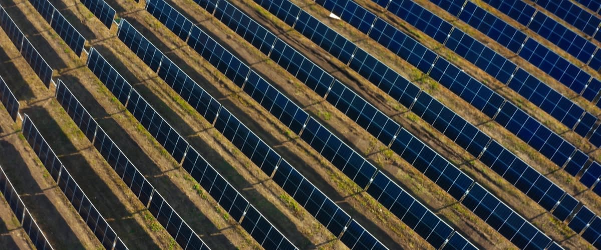 A dm az előre mutató megoldásokban hisz: a forgalmi növekedés lehetőséget ad a további fejlesztésekre 