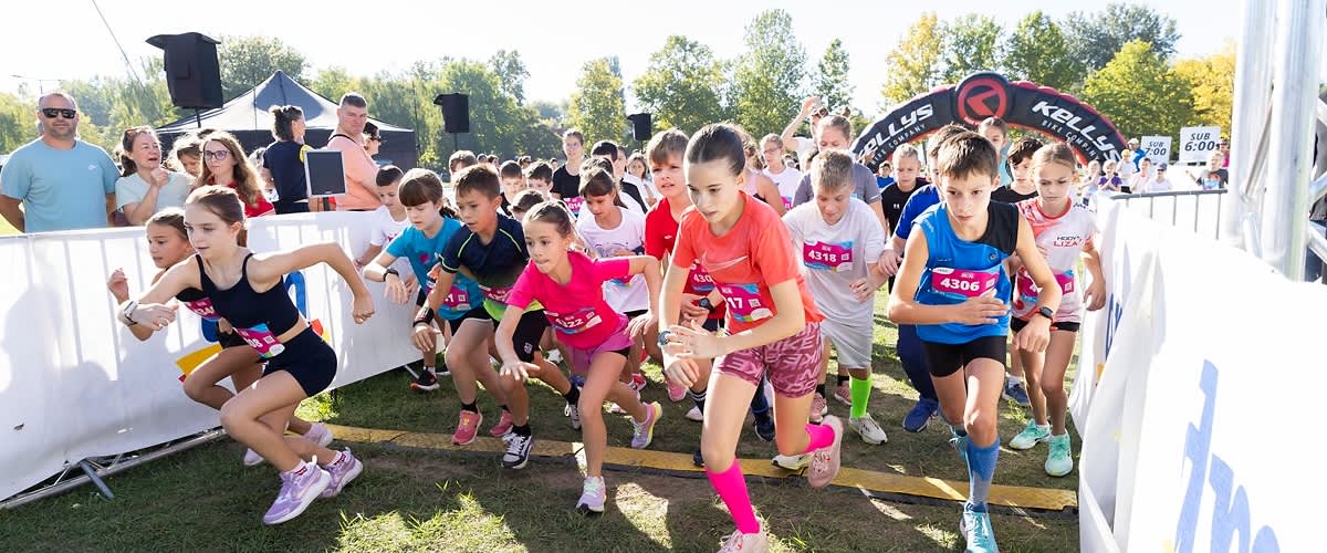 A dm az előre mutató megoldásokban hisz: a forgalmi növekedés lehetőséget ad a további fejlesztésekre 