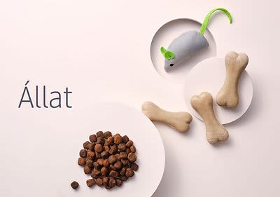 Állat