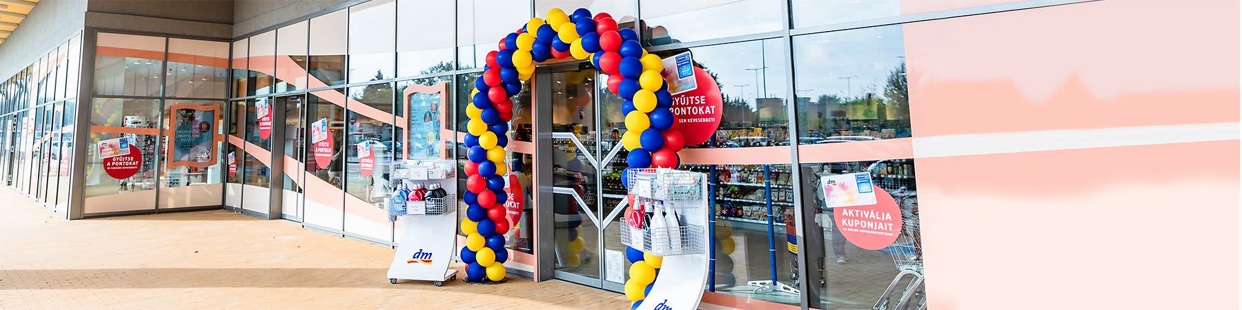 dm vállalat