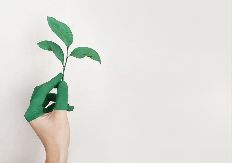 Új utak a csomagolások terén