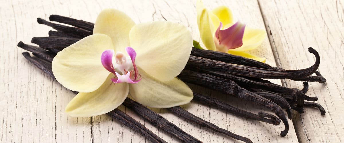 A mindentudó vanília