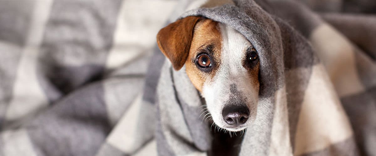 Az év „legfélelmetesebb” napja