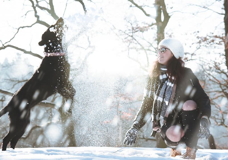 Ajándékok négylábú kedvenceinknek