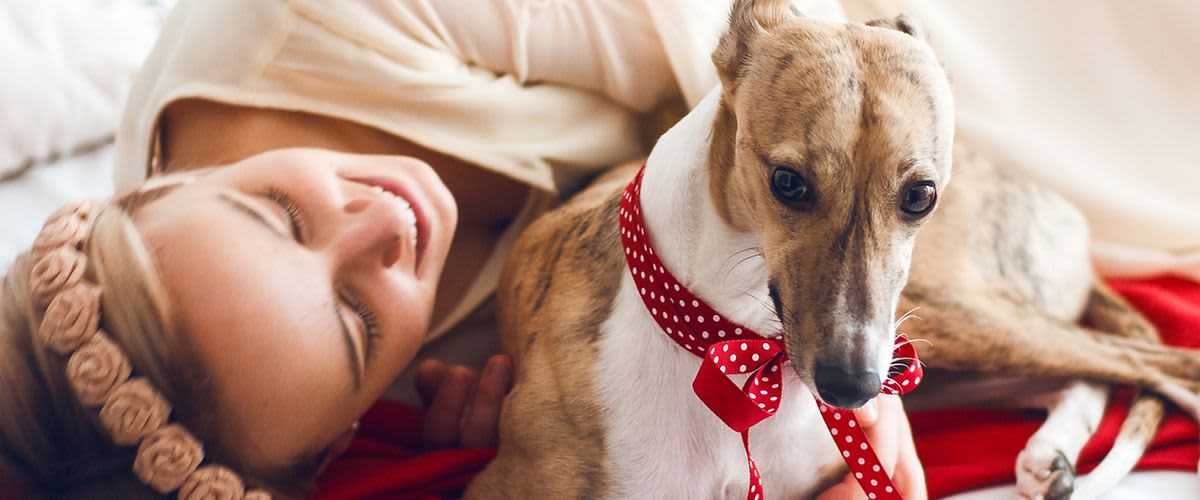 Ünnepelj kiskedvenceddel!