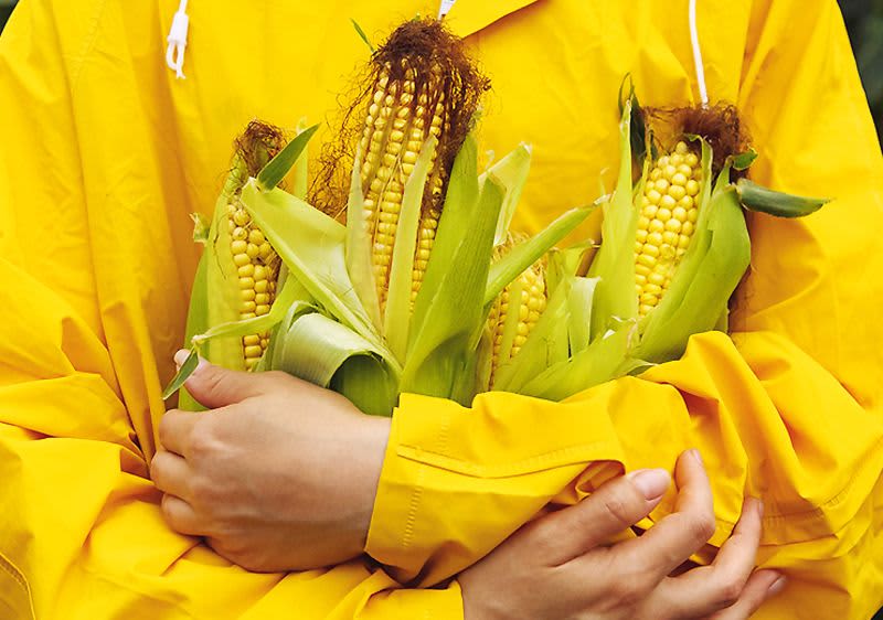 Kukorica – Minden, amit tudnia kell róla 