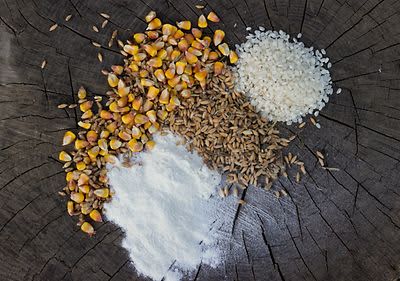 Glutén – Tudd meg, hogy mi mindenben van!