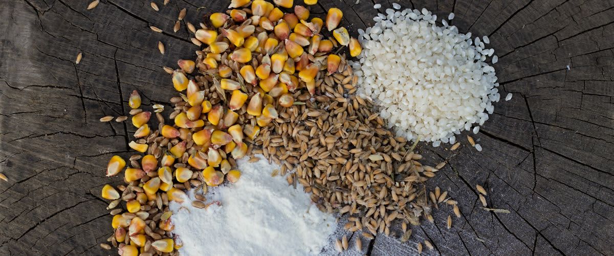 Glutén – Tudd meg, hogy mi mindenben van!