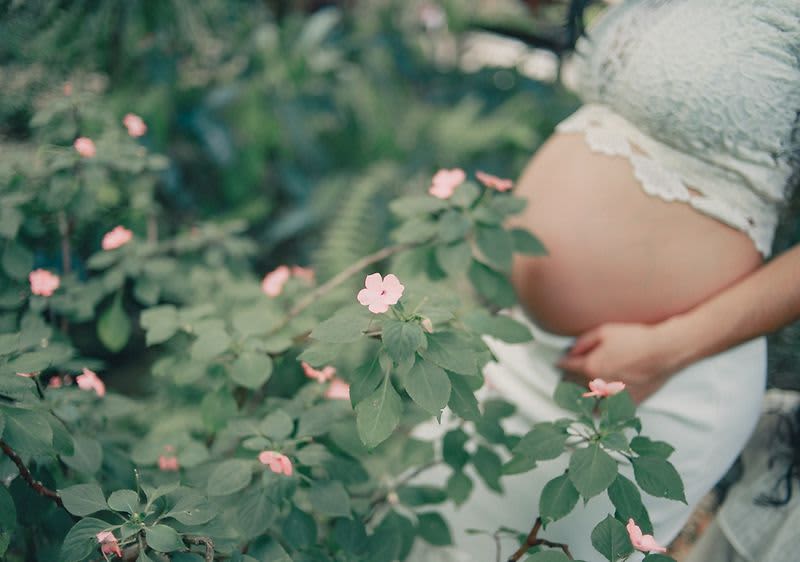 Jótékony hatású gyógynövények várandós kismamák és babák számára 