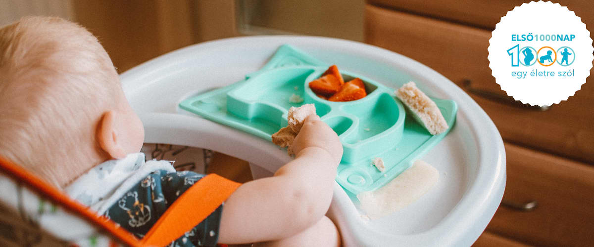 Az immunrendszer segítői