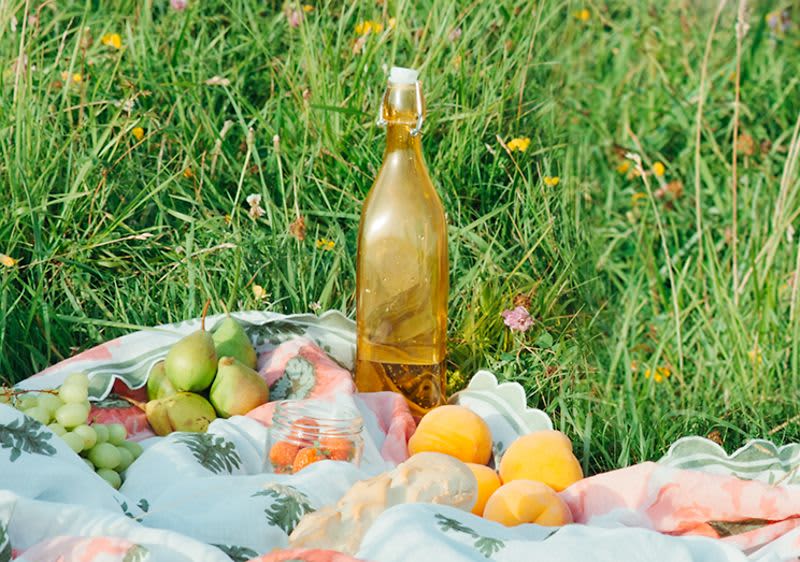 A tökéletes piknik